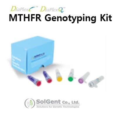 MTHFR Genotyping Kit